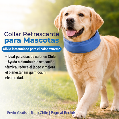 Collar Refrescante para Mascotas – Alivio Real en Días de Calor.