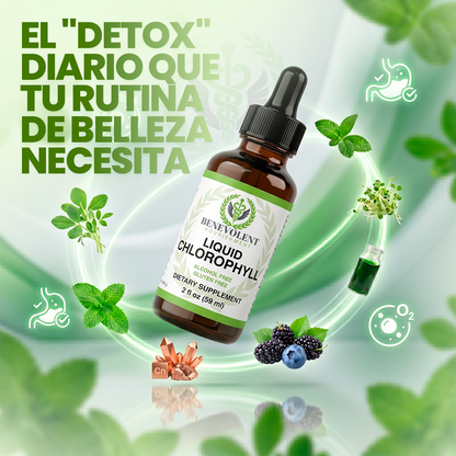 Clorofila Benevolent | Belleza, digestión y frescura desde adentro