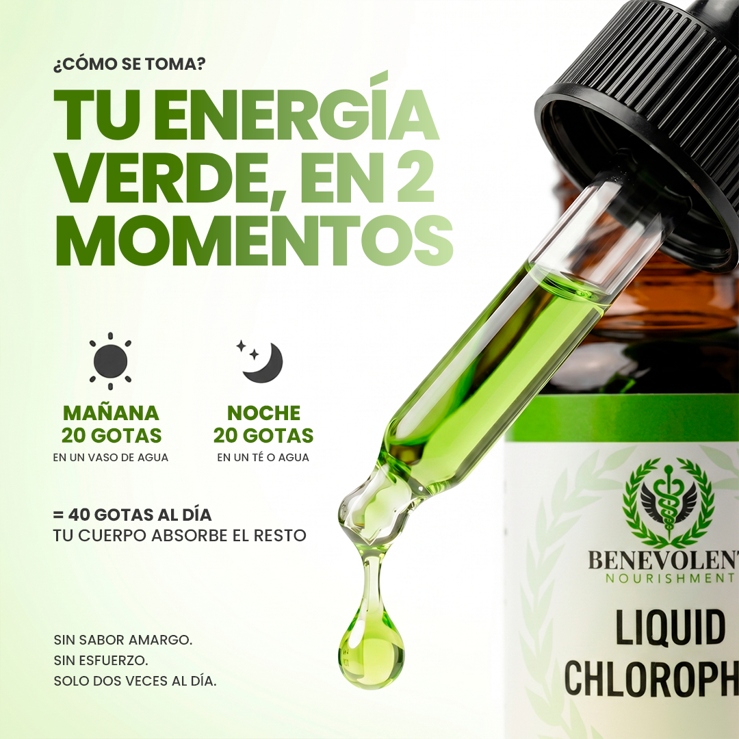 Clorofila Benevolent | Belleza, digestión y frescura desde adentro