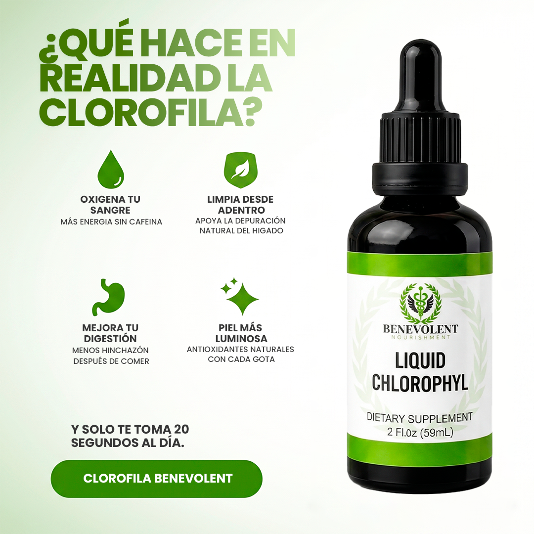 Clorofila Benevolent | Belleza, digestión y frescura desde adentro