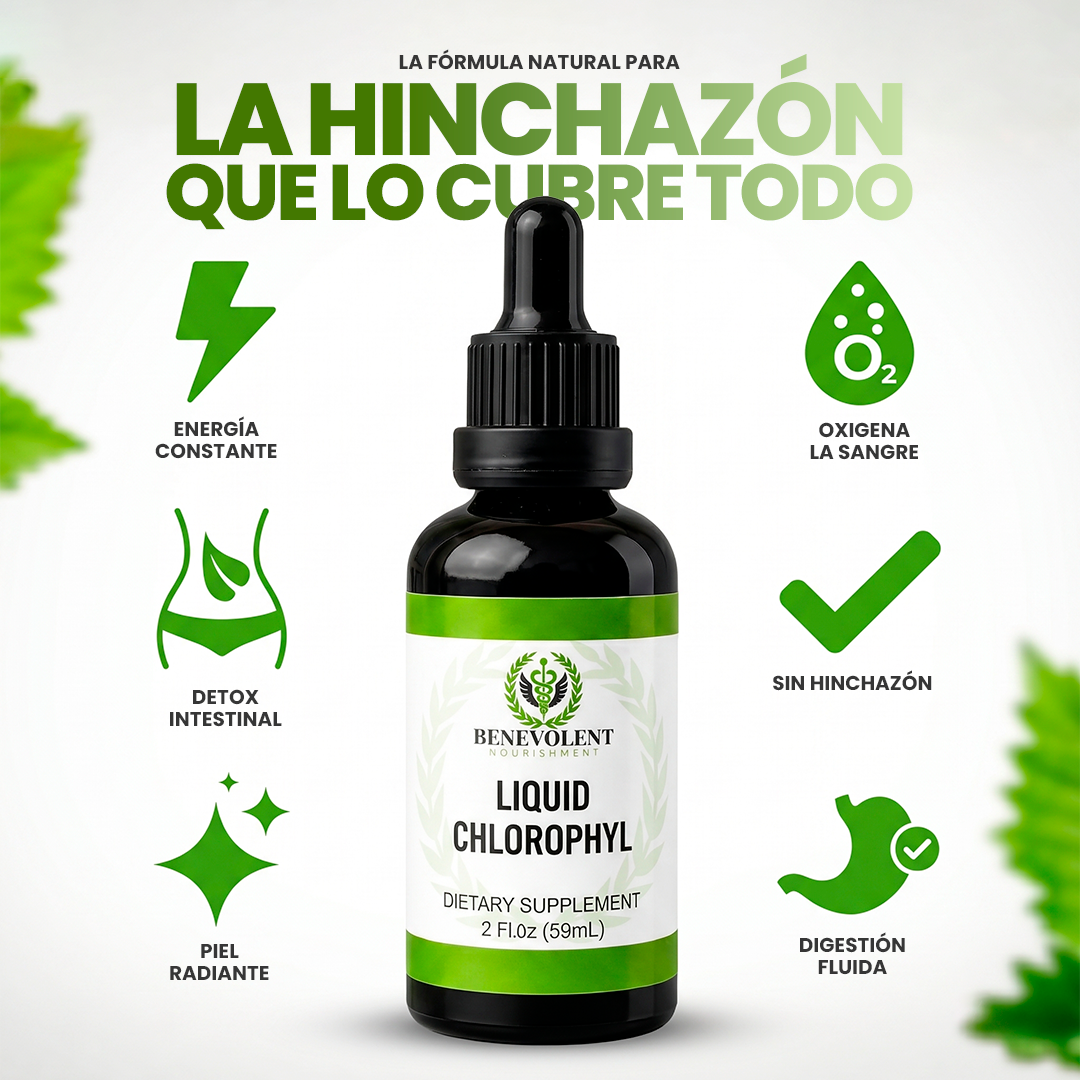 Clorofila Benevolent | Belleza, digestión y frescura desde adentro
