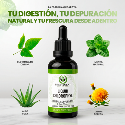 Clorofila Benevolent | Belleza, digestión y frescura desde adentro
