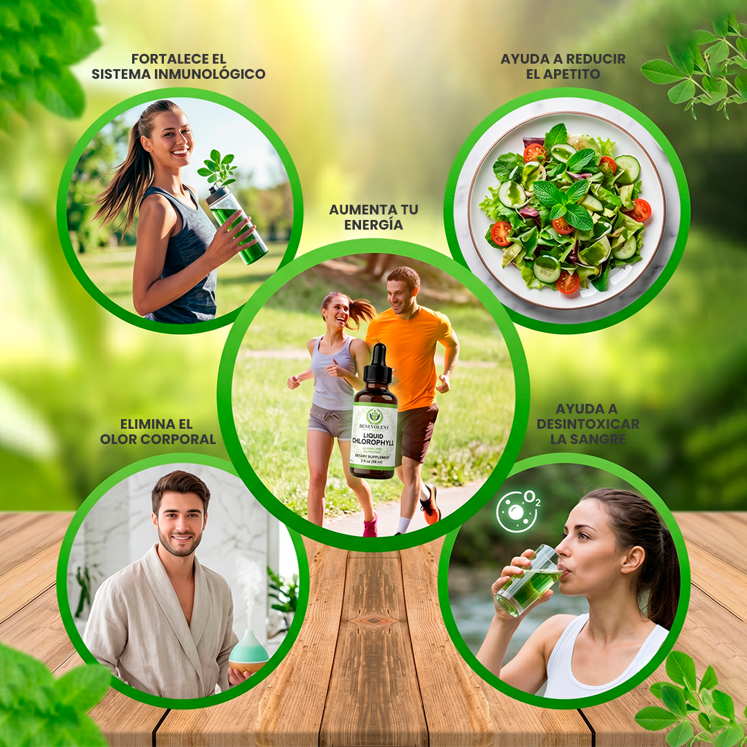 Clorofila Benevolent | Belleza, digestión y frescura desde adentro