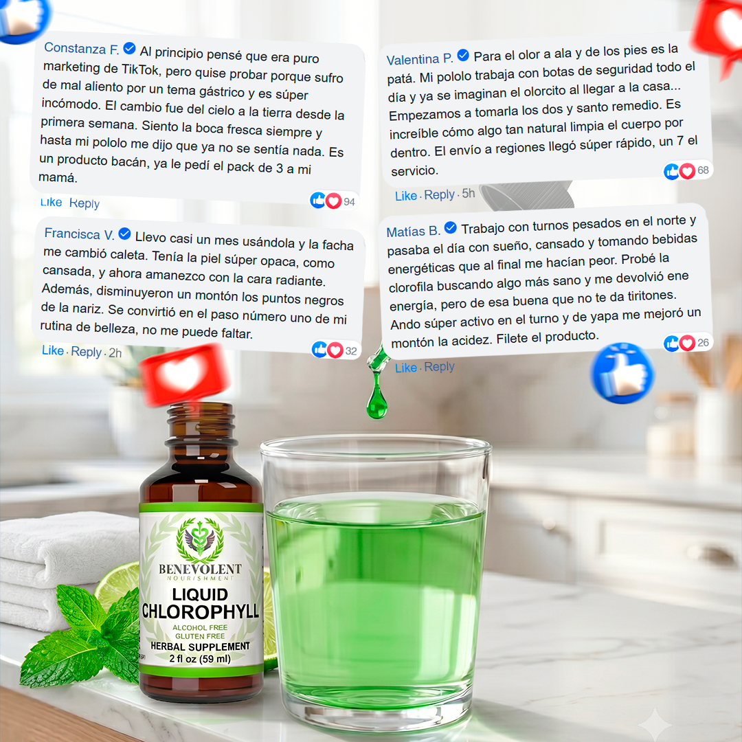 Clorofila Benevolent | Belleza, digestión y frescura desde adentro