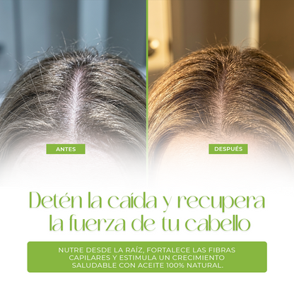 ¡Detén la caída y recupera la fuerza de tu cabello con el secreto ancestral de la Batana!